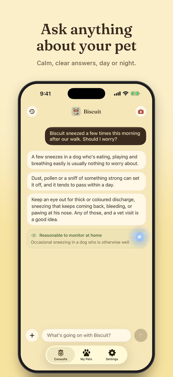 A consult about a corgi's sneezing, answered calmly and marked reasonable to monitor at home.