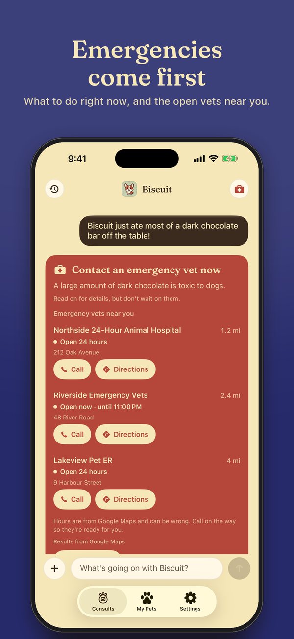 An emergency answer about dark chocolate, with the nearest open emergency vets.